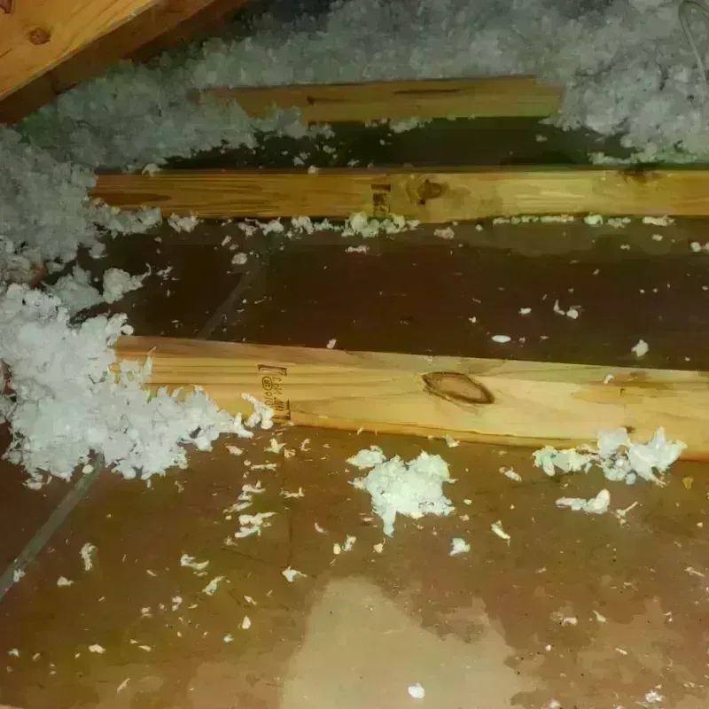 Attic Water Damage in Raytown, MO