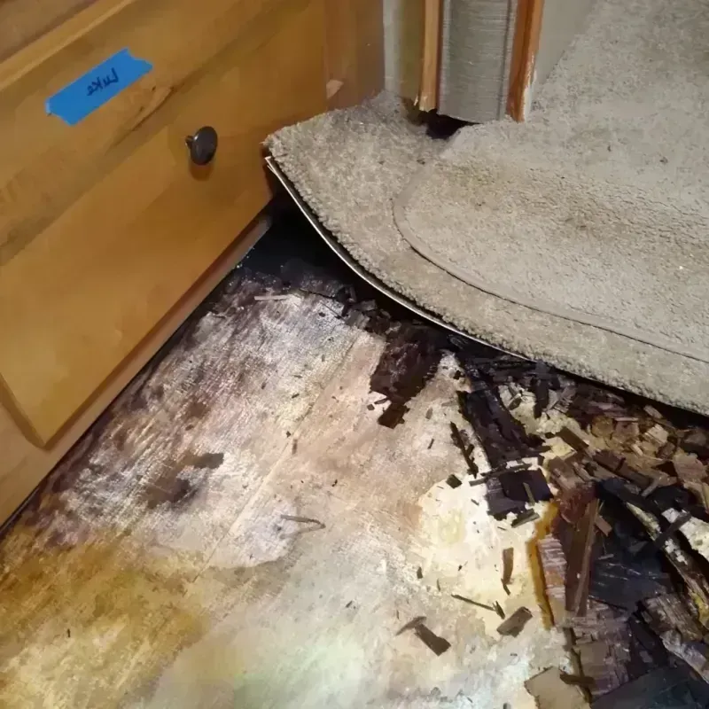 Best Wood Floor Water Damage Service in Raytown, MO